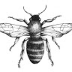 Meet your Posher, Brigid